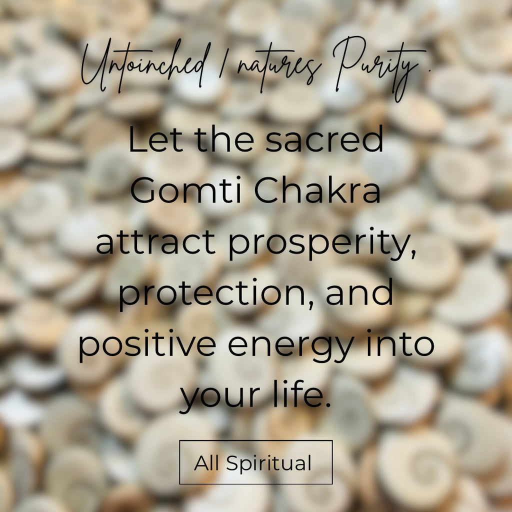 Gomti Chakra Ring - Natural Original | Adjustable Silver