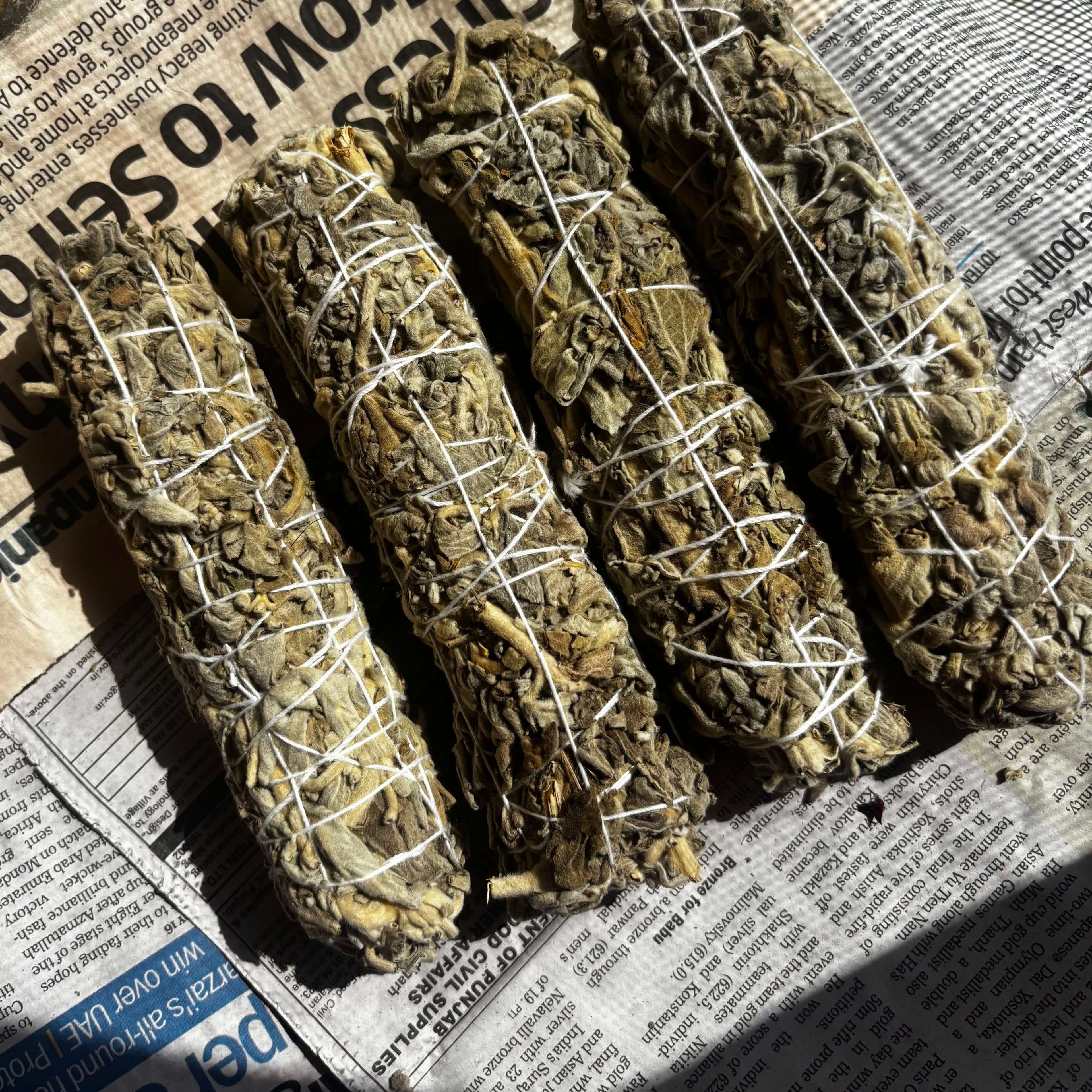 White Sage Smudge Stick – Indian (Set of 4) | Believed to Support Space Cleansing, Calmness & Spiritual Clarity