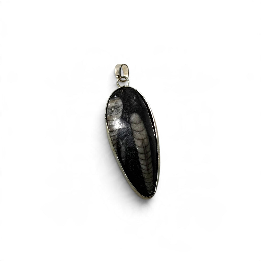 Kuber Stone Pendant - Natural Orthoceras Fossil | Fósil