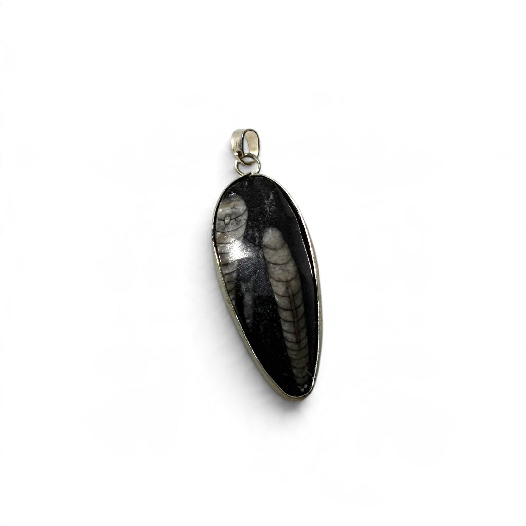 Kuber Stone Pendant - Natural Orthoceras Fossil | Fósil