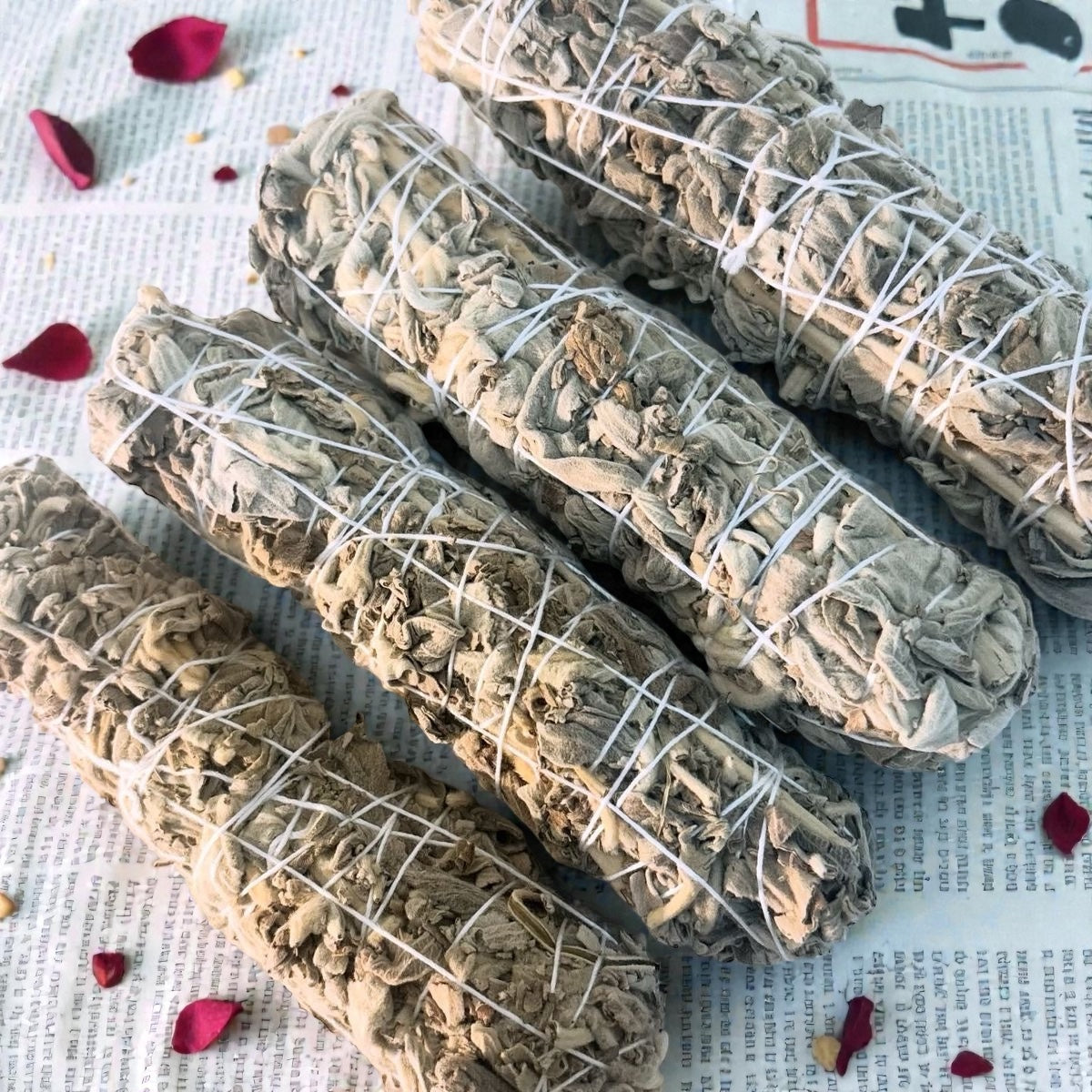 White Sage Smudge Stick – Indian (Set of 4) | Believed to Support Space Cleansing, Calmness & Spiritual Clarity