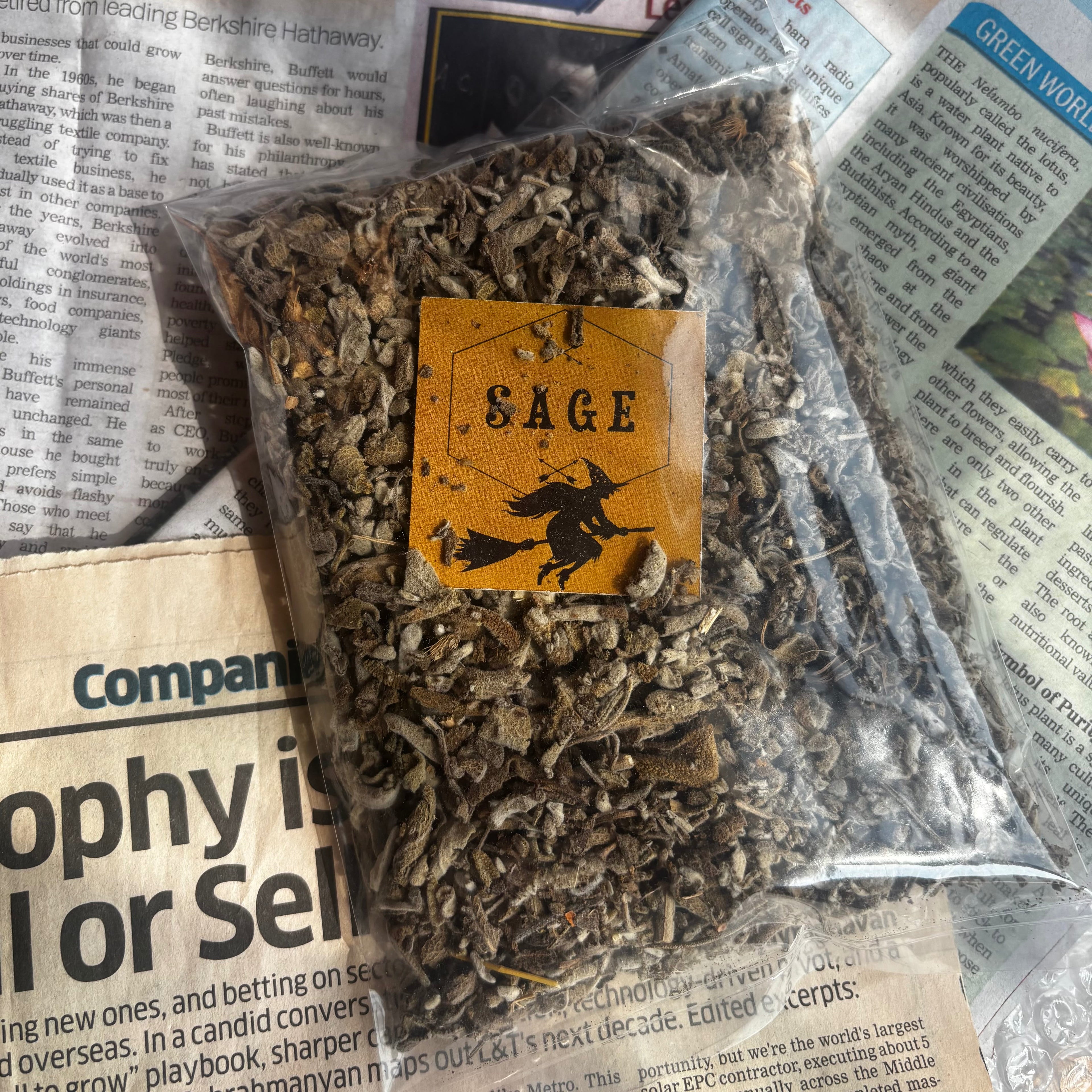 Sacred White Sage Leaves Pack | Believed to Cleanse Spaces, Purify Energy & Invite Positive Vibrations