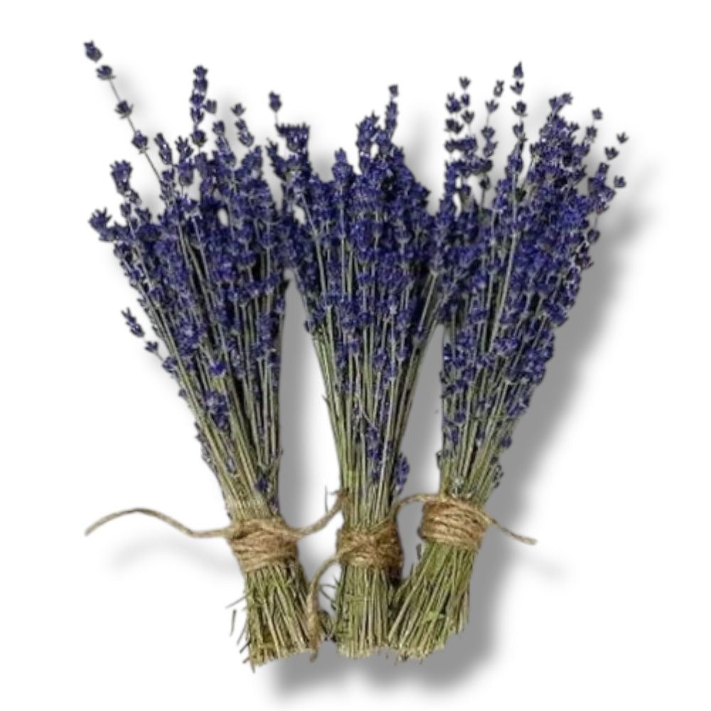 Sacred Lavender Smudge Wand | Believed to Soothe the Spirit, Cleanse Spaces & Inspire Inner Calm