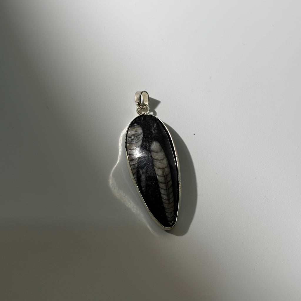 Kuber Stone Pendant - Natural Orthoceras Fossil | Fósil