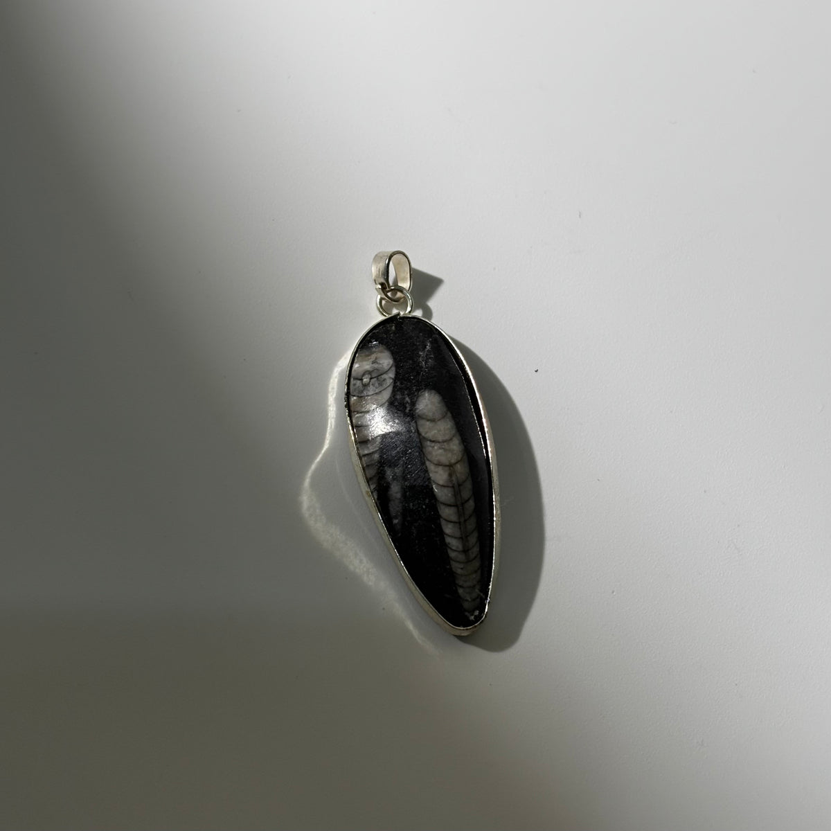 Kuber Stone Pendant - Natural Orthoceras Fossil | Fósil
