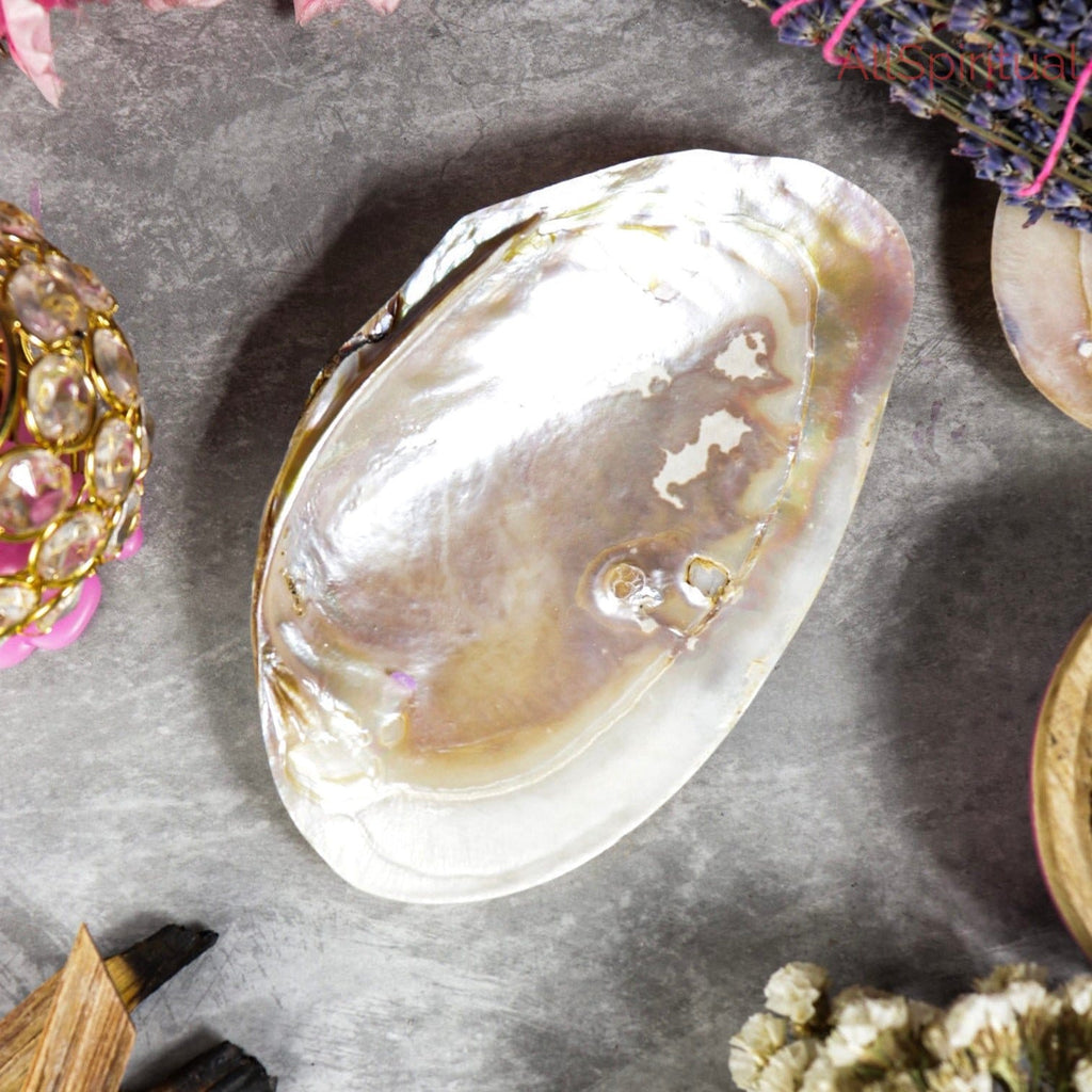 Mother of Pearl Shell - Pure Natural Medium Size | Inspired by Sea Serenity