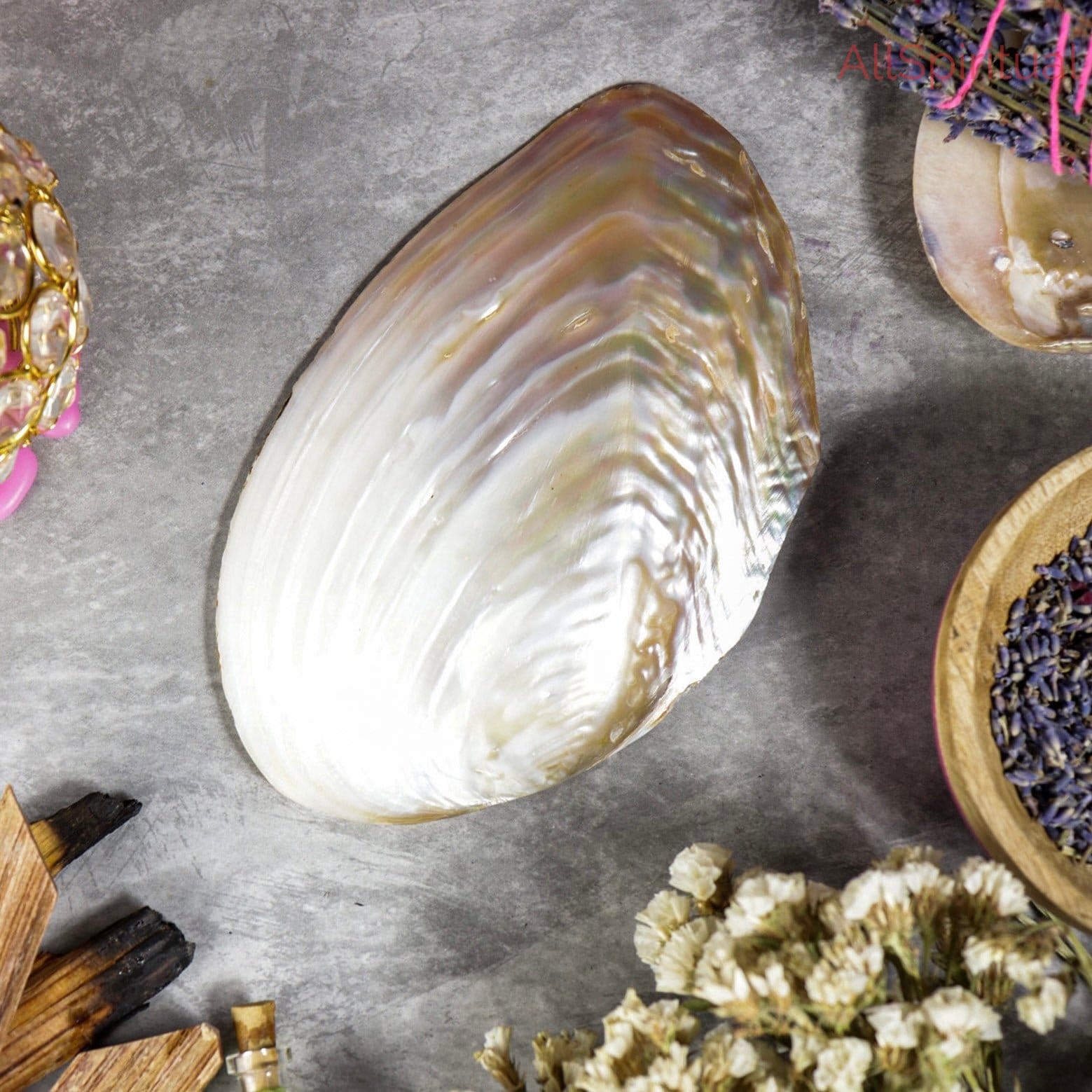 Mother of Pearl Shell - Pure Natural Medium Size | Inspired by Sea Serenity