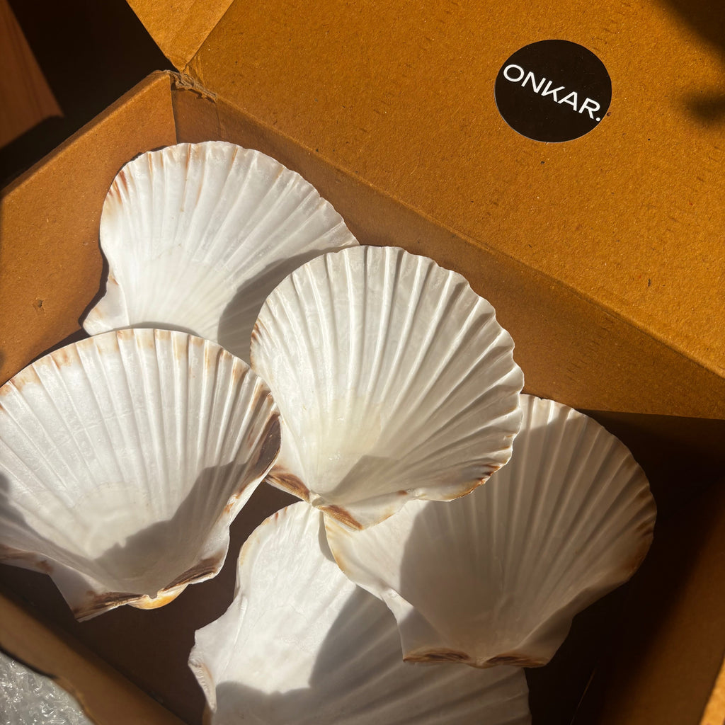 Pearl Shell - 100% Natural & Original Sea Shell | Traditionally Used for Smudging & Sacred Rituals
