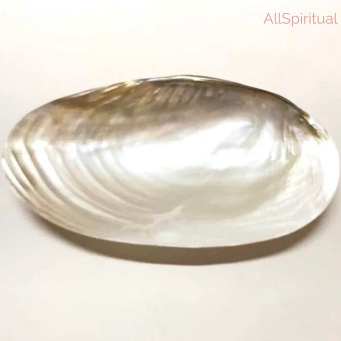 Mother of Pearl Shell - Pure Natural Big Size | Inspired by Emotional Balance