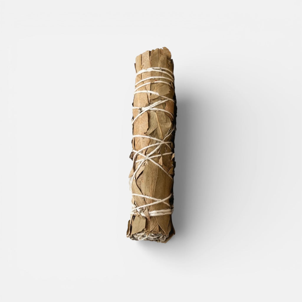 Eucalyptus Sage Smudge Stick | Believed to Support Fresh Energy, Clarity & Spiritual Cleansing