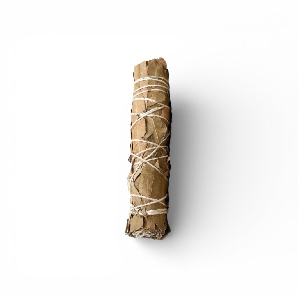 Eucalyptus Sage Smudge Stick | Believed to Support Fresh Energy, Clarity & Spiritual Cleansing