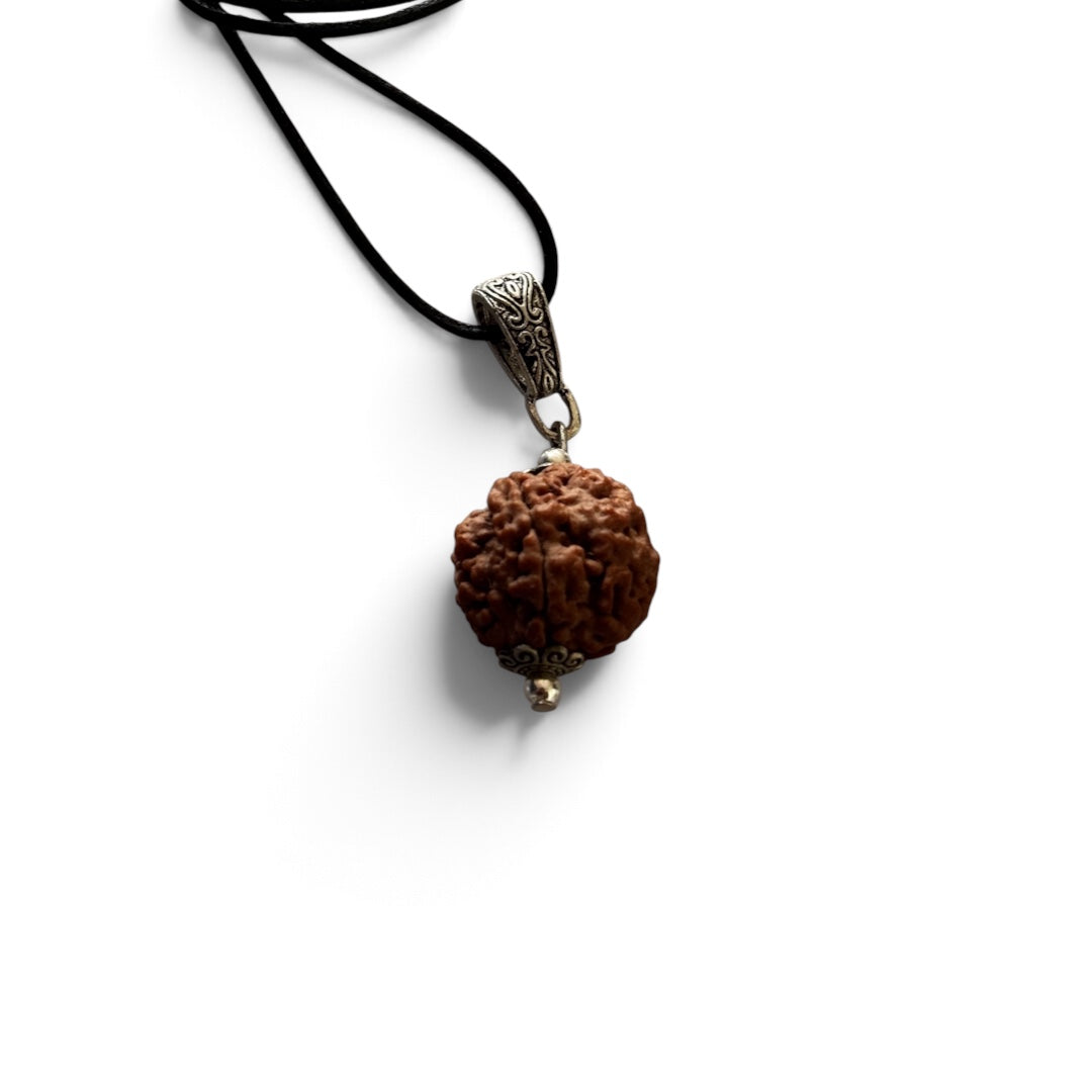 Rudraksh Pendant - Natural Panch Mukhi With Black Thread (5 pcs)