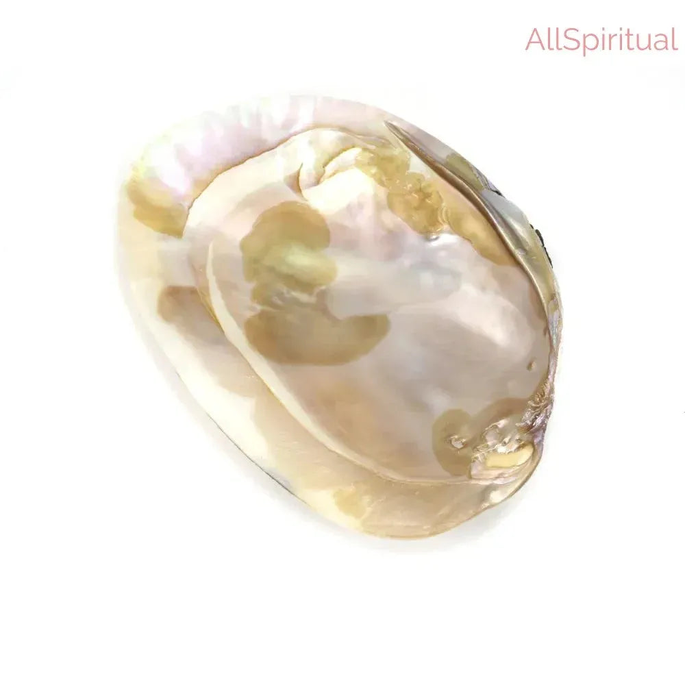 Mother of Pearl Shell - Pure Natural Medium Size | Inspired by Sea Serenity