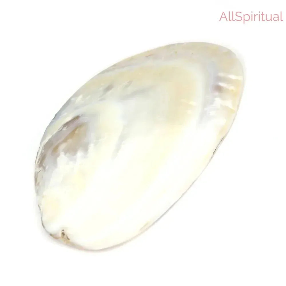Mother of Pearl Shell - Pure Natural Big Size | Inspired by Emotional Balance