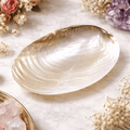 Mother of Pearl Shell - Pure Natural Big Size | Inspired by Emotional Balance